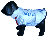 bitte darauf klicken